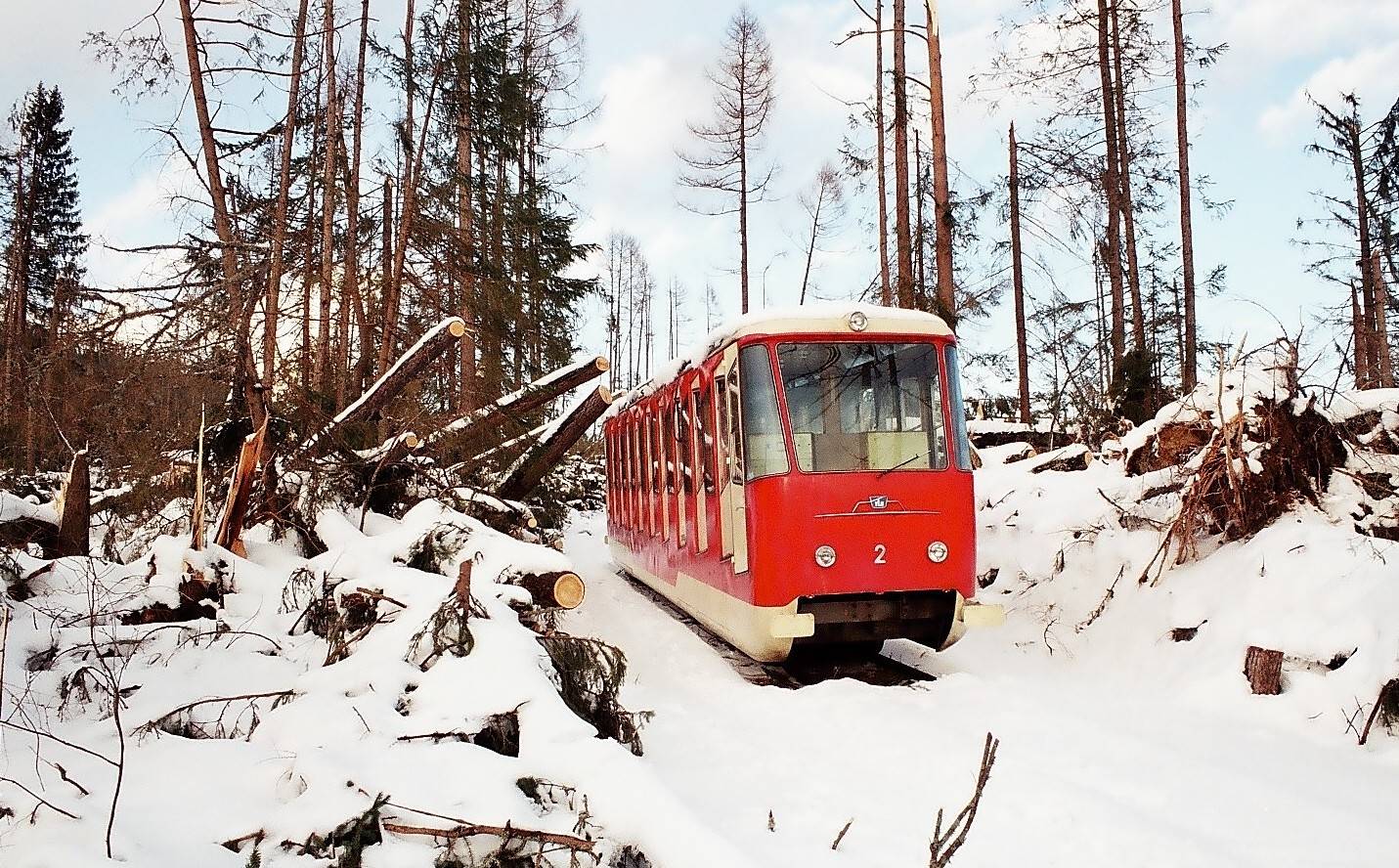 Több mint nyolcmillió facsemetét ültettek el a Tátrában a pusztító vihar óta-4