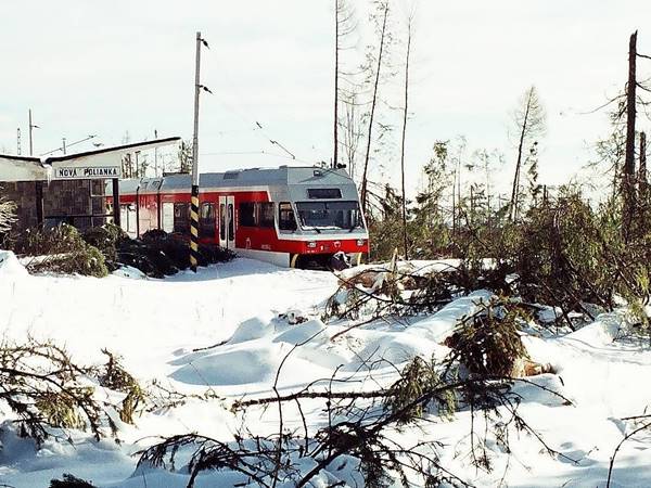 Több mint nyolcmillió facsemetét ültettek el a Tátrában a pusztító vihar óta